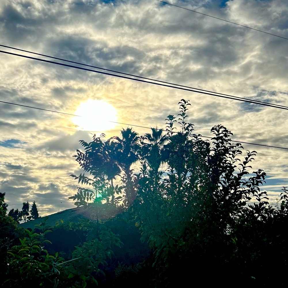 Meet your Posher, Umm